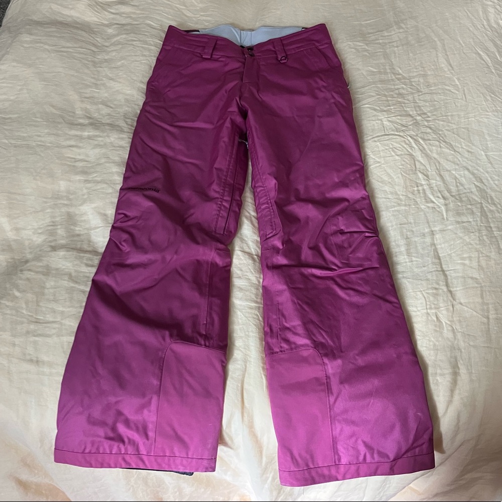 Patagonia Ski/Snowboarding Pants